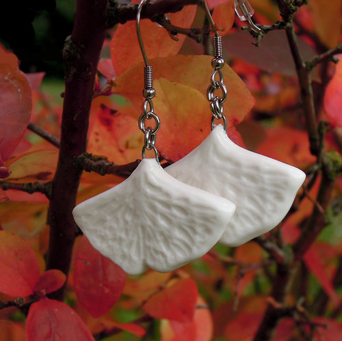 Ginkgo — foto 3