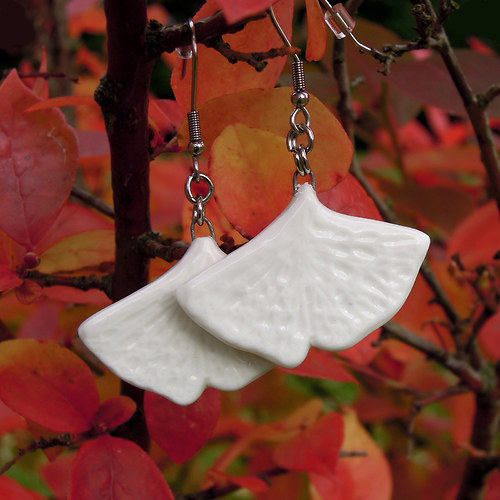Ginkgo — foto 5