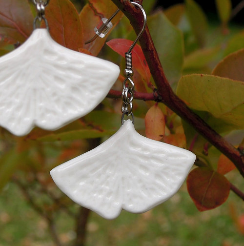 Ginkgo — foto 6