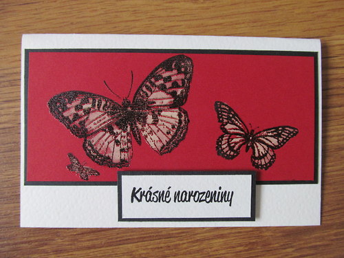 K narozeninám — foto 2