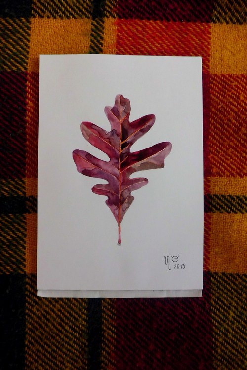 Quercus alba. Akvarel — foto 2