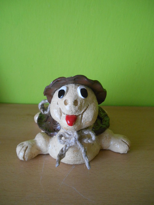 Želvička — foto 2