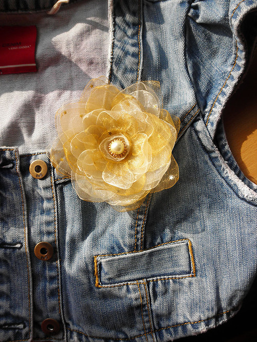 Leknín "Goldie" — foto 6