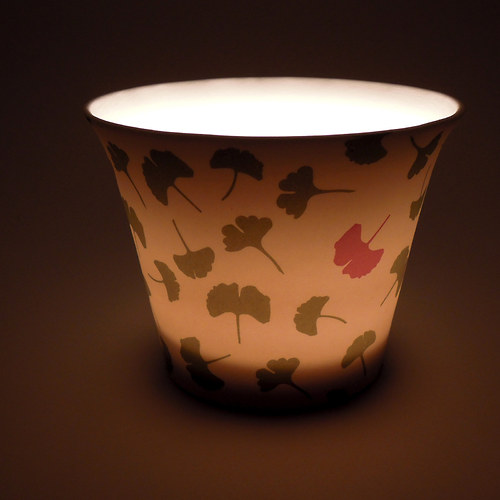 Ginkgo set (zelená + růžová) — foto 2