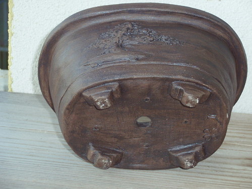 Miska s bonsaí — foto 2