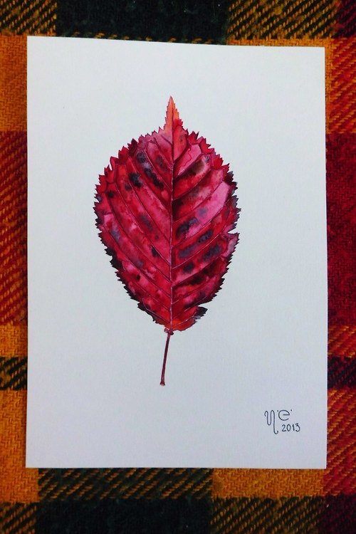 Prunus serrulata. Akvarel. — foto 2