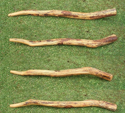 Didgeridoo - eburneus — foto 2