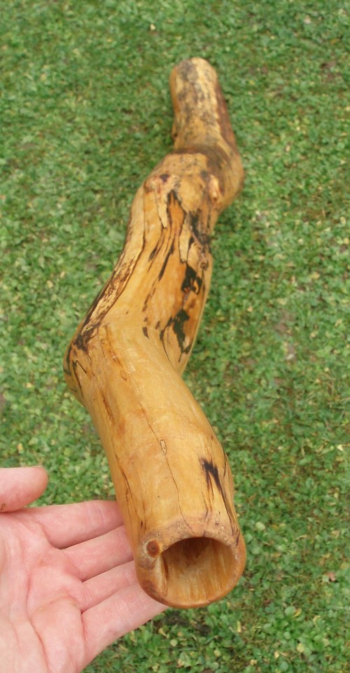 Didgeridoo - eburneus — foto 4