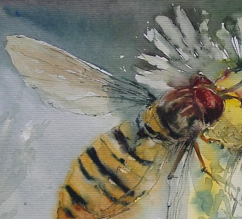 Pestřenka,originální akvarel — foto 3