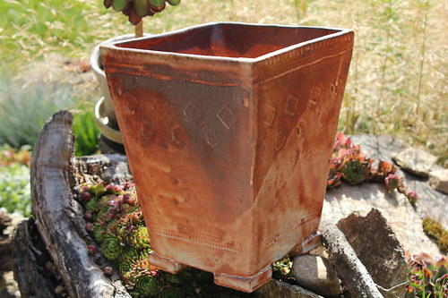 Bonsai miska - velká — foto 4