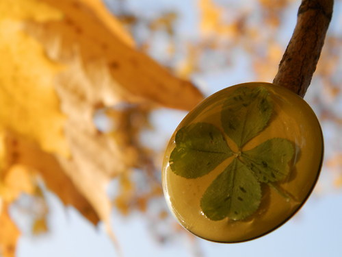 Štěstí na klopě — foto 5