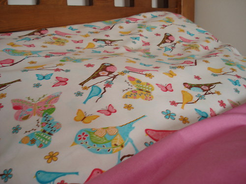 Ptačí motýlení — foto 3