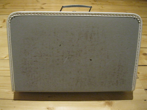 Kufřík šedý — foto 2
