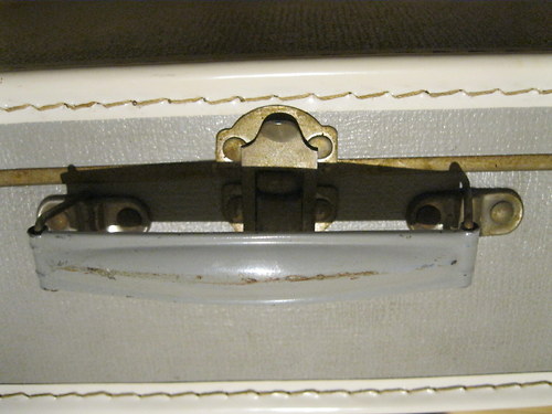 Kufřík šedý — foto 3