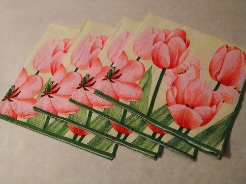 Květiny - tulipány 12. — foto 2