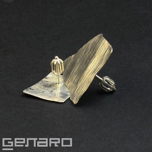 Stříbrné Tepané Nepravidelné — foto 2
