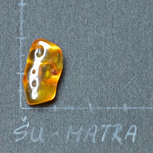 Jantar přírodní — foto 2
