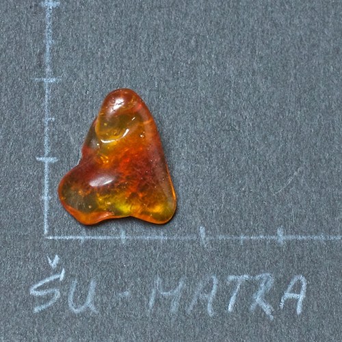 Jantar přírodní — foto 3