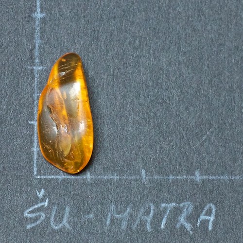 Jantar přírodní — foto 3