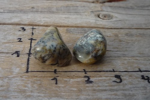 2 x dendritický opál P2359 — foto 2