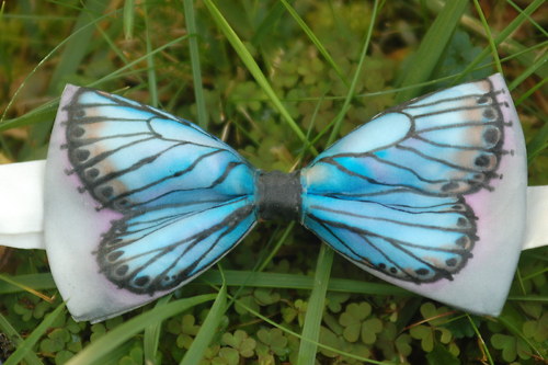 Modrásek vikvicový — foto 3