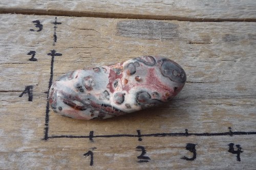 Jaspis leopardí P2406 — foto 2