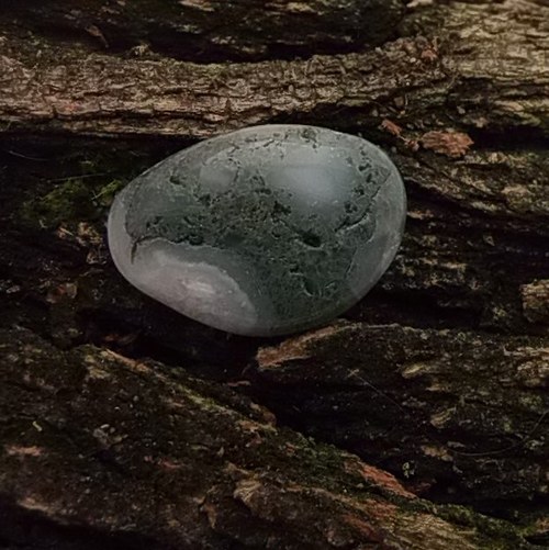 Mechový achát - placička 139 — foto 2