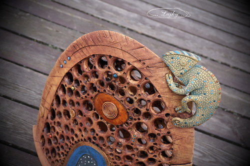 "Chameleon na kopci" — foto 5