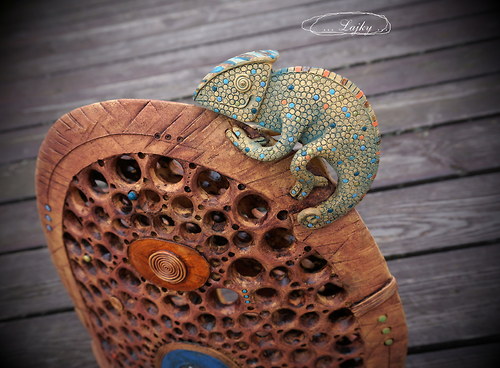 "Chameleon na kopci" — foto 6