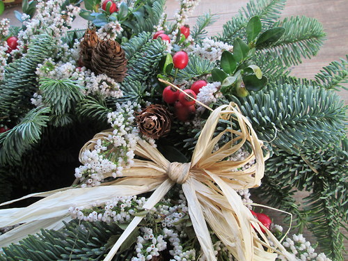 Přírodní zimní — foto 2