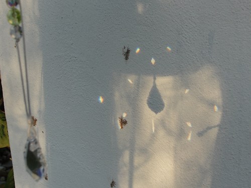 Leť. — foto 6
