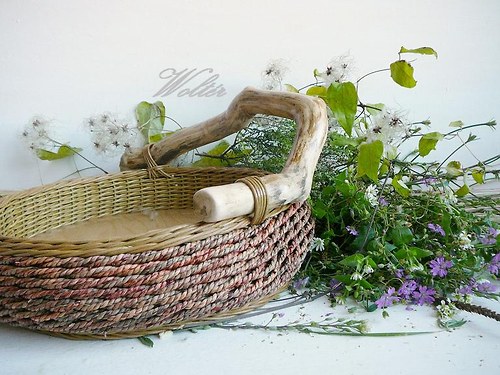 Mísa ,,Robinson,, — foto 2