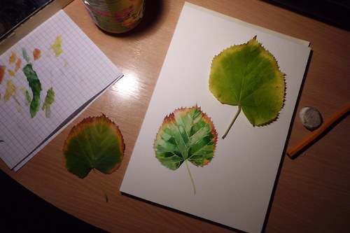 Tilia anebo lípa. Akvarel — foto 3