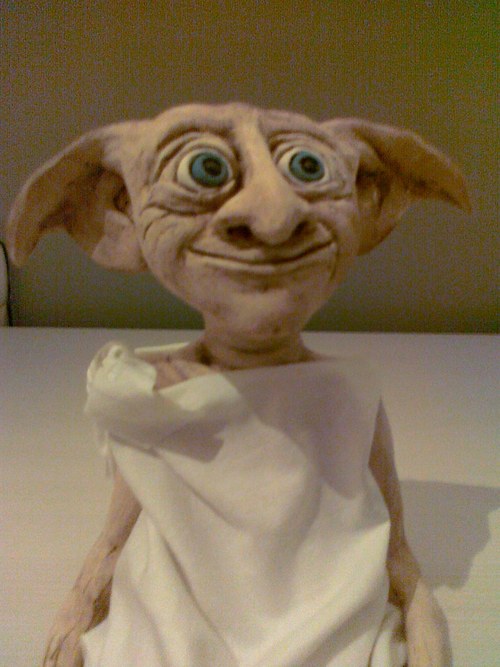 Domácí elf — foto 2