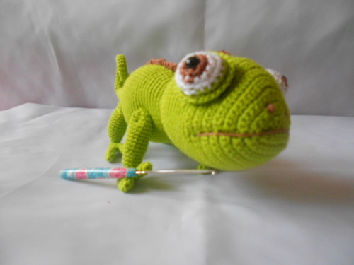 Háčkovaný chameleon — foto 3