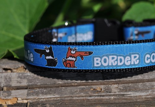Obojek pro border kolie - modrý — foto 3