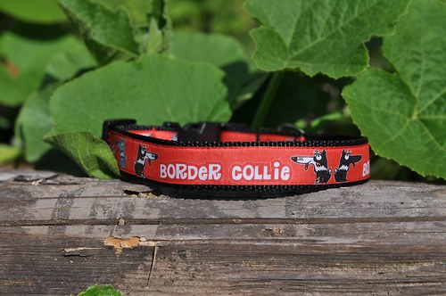 Obojek pro border kolie - červený — foto 2