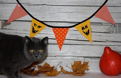Halloween - praporky — foto 2