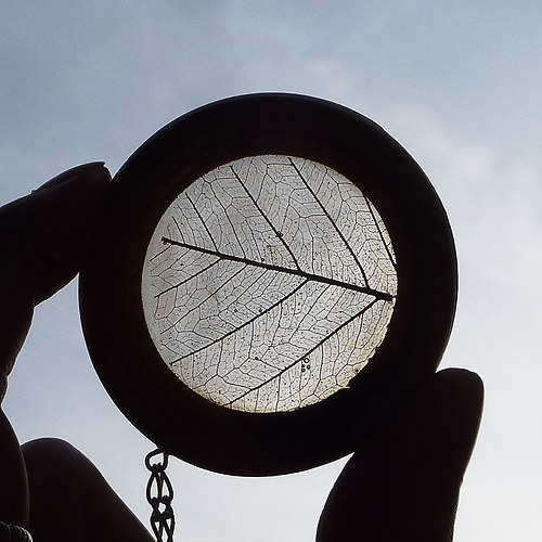 Leaf — foto 3
