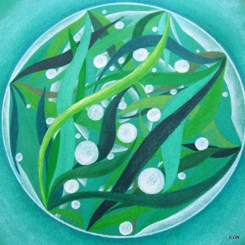 Mandala - Perly — foto 2