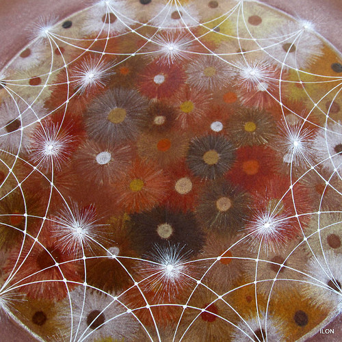 Mandala Okamžiku — foto 4