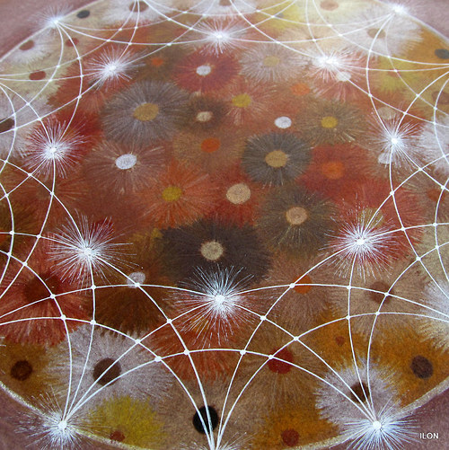 Mandala Okamžiku — foto 5