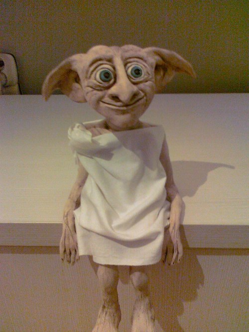 Domácí elf — foto 4