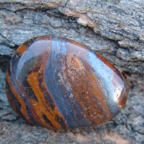 Tygří železo - placka 248 — foto 2
