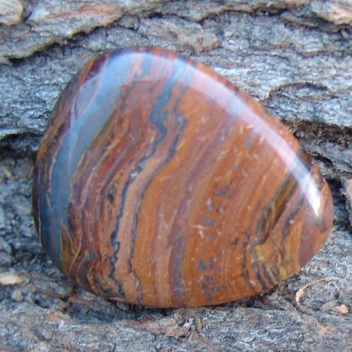 Tygří železo - placka 249 — foto 2