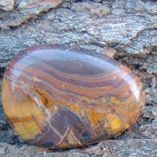 Tygří železo - placka 251 — foto 2