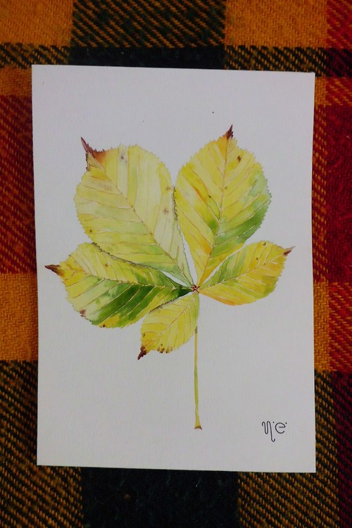 Aesculus hippocastanum. Akvarel na A5 — foto 2