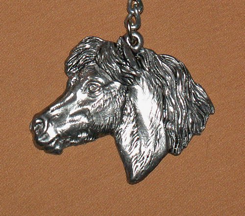 Shetlandský pony — foto 3