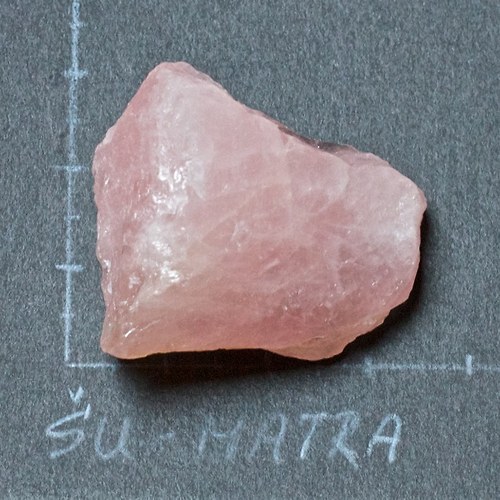 Růženín- surový — foto 2