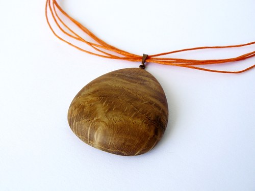 Quercus — foto 3